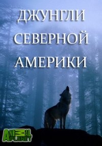 Джунгли Северной Америки (2014)