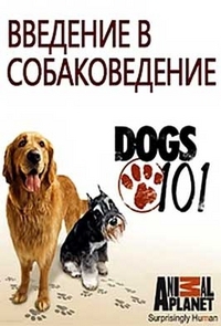 Введение в собаковедение (2008)